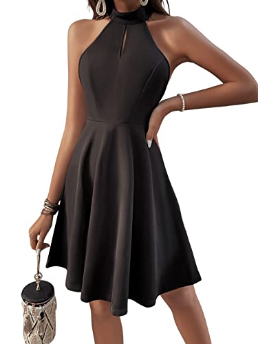 SheIn Neckholder Kleid Damen A Linie Kleider Elegant Spitzen Freizeitkleid Ärmellos Skaterkleid Kurz Swing Partykleid...